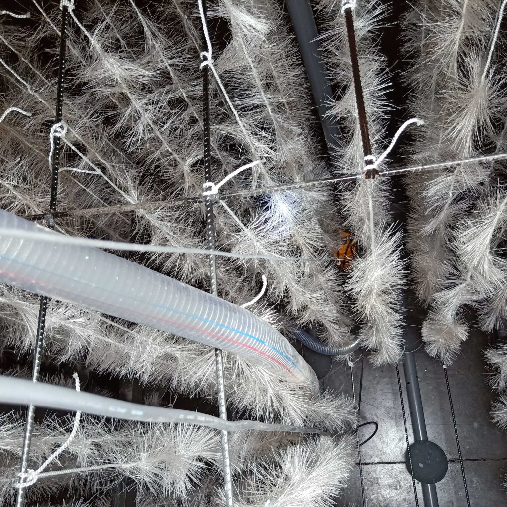 一体化生化处理系统